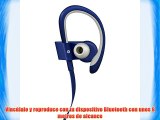 Beats PowerBeats 2 - Auriculares in-ear inalámbricos color azul