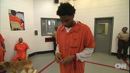 Inmates and dogs train and bond in jail