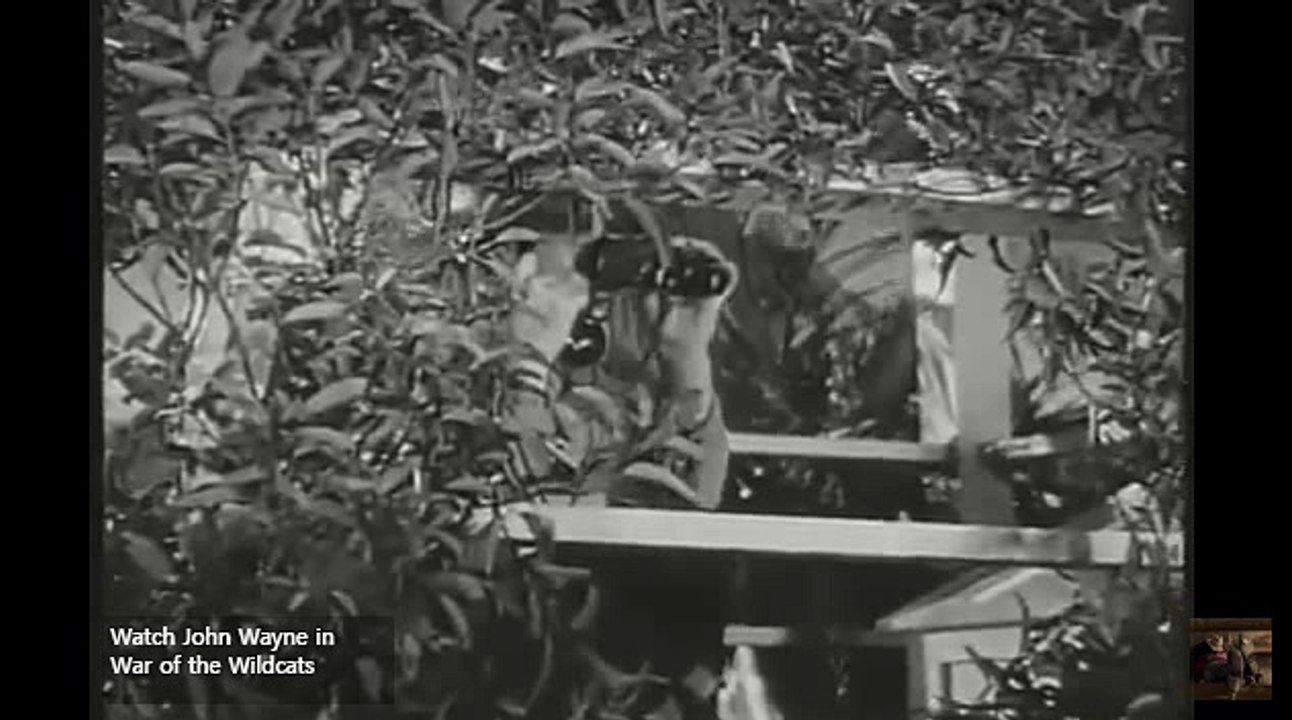 바카라노하우〓  WKW22。COM  ▥월드카지노㏇바카라주소