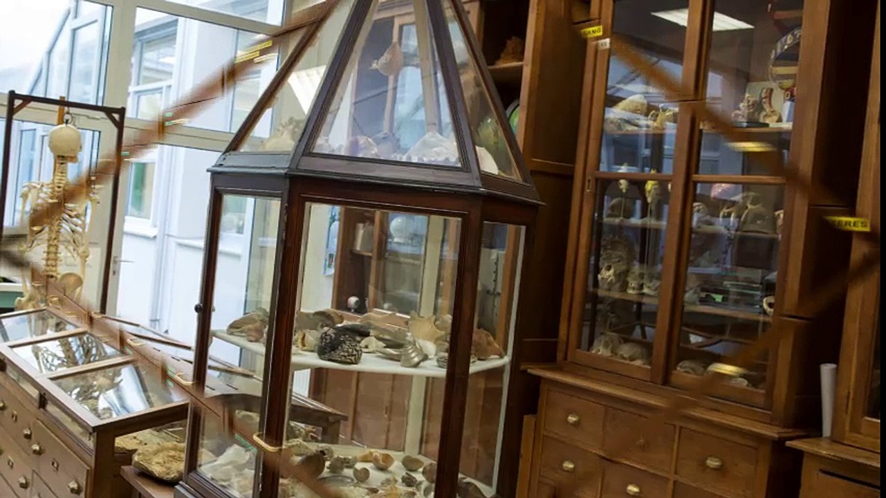 Visite du lycée Gay-Lussac - Limoges