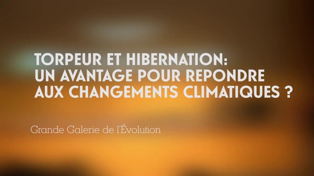 Torpeur et hibernation : un avantage pour répondre aux changements climatiques ? (Changements climatiques et biodiversité 3/5)