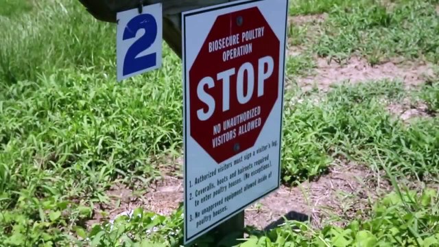 Being from Purdue I didn't realize this wasn't about our engineering program until about halfway through when they said they only expected to lose one and thirty. I was like woah that's way too few 'acceptable loses', this might be about a chickenfarm