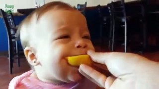 Babies Eating Lemons for the First Time Compilation 2016
