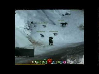 Guild Wars 2 : L'affaire des chatons