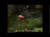 Guild Wars 2 : L'affaire des oursons