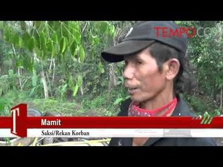 Truk Angkut Campuran Beton Jalan Terjun ke Jurang