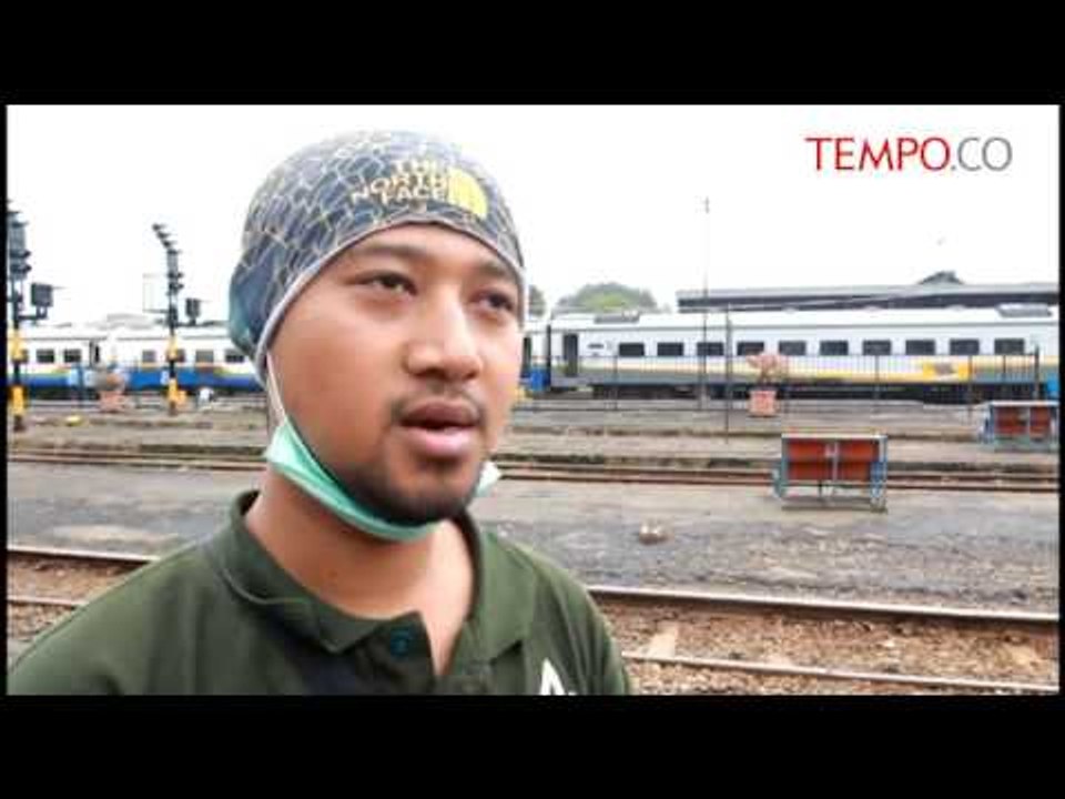 Dua Lutung Asal Inggris Dipulangkan Ke Batu Untuk Dilepasliarkan