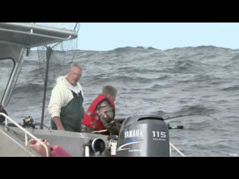 Nice Fish Jr - Winter Harbour Halibut