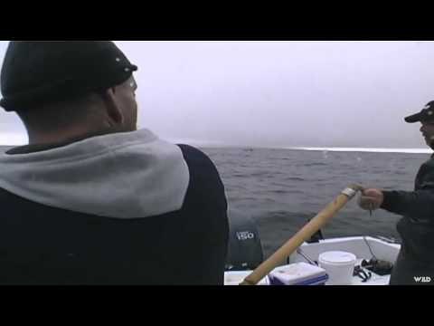 Hawg Quest - Oak Bay Slay Day