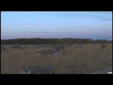 Adventures North - Manitoba Wildlife Hunting