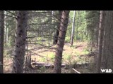 The Hunting Chronicles - Saskatchewan Big Spring Black Bears
