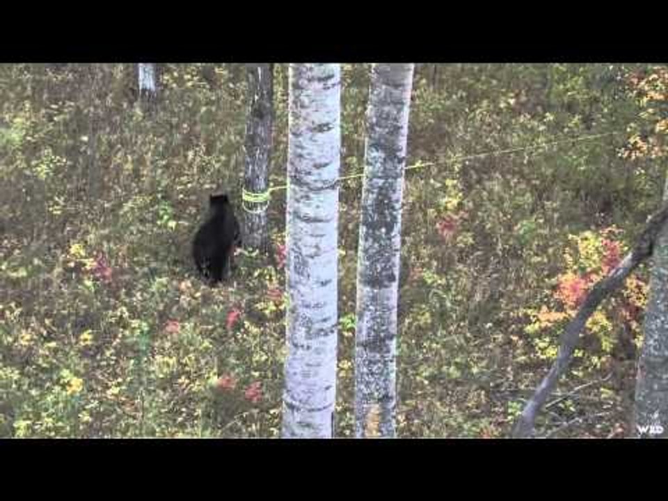 M2D Camos Livin the Dream - Colten Spears a Bear Part 2