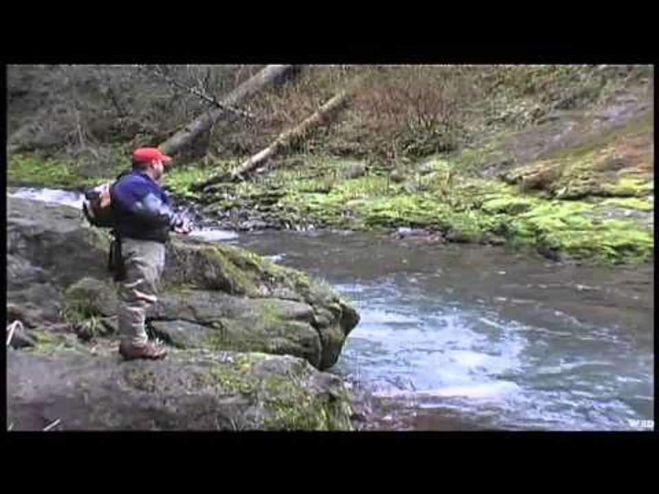 Hawg Quest - Fun With Fergus