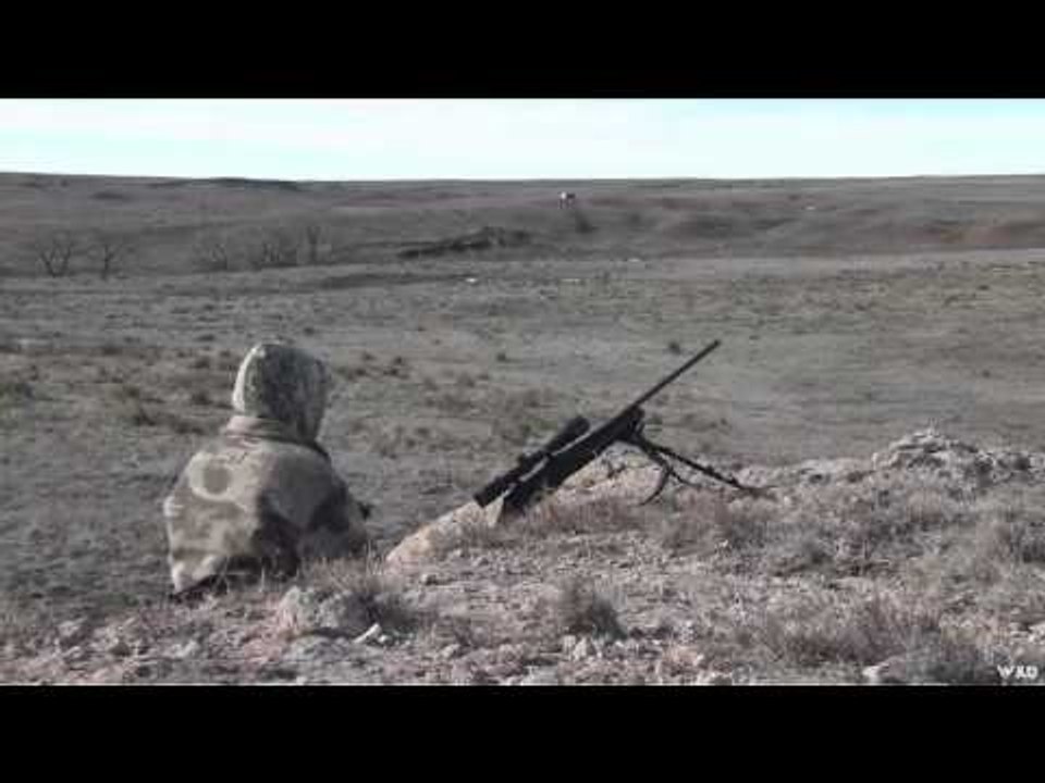 Predator Quest Western Kansas Coyote Hunt video Dailymotion