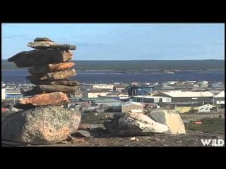 Adventures North - Salmon Musk Ox Mussels  More