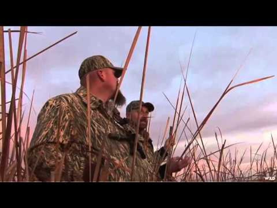 M2D Camos Livin the Dream - Fowl Fun