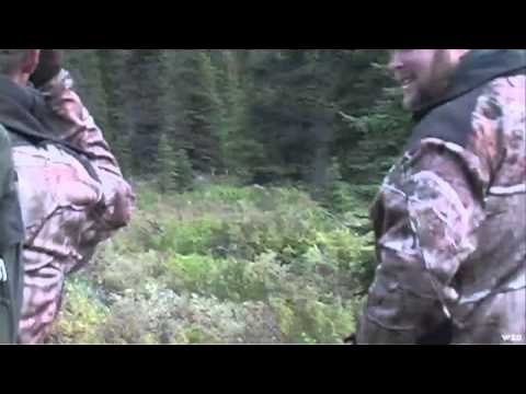 Wild Sheep Foundations Hittin the Outdoors - BC Elk