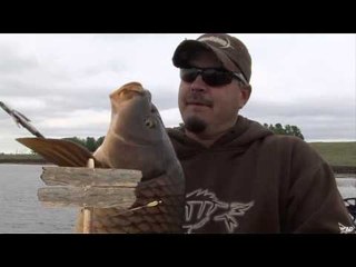 Innerlocs Out There - South Dakota Carp Fishing