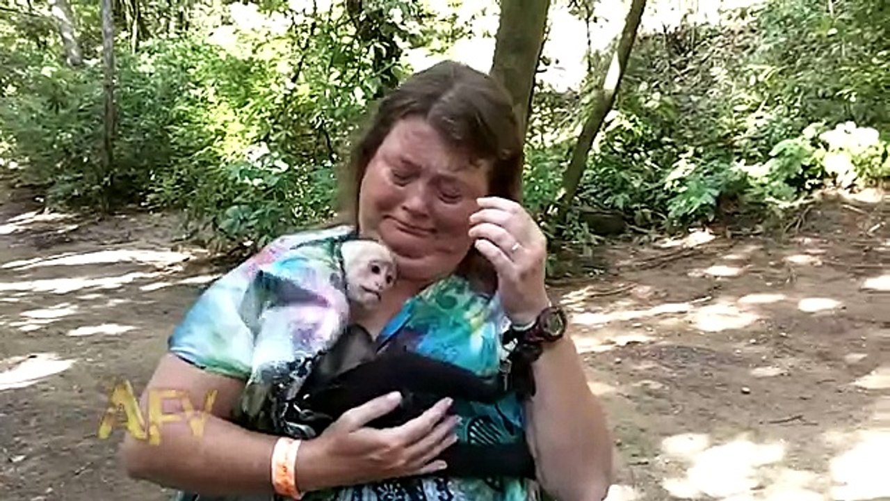 Monkey In Shirt - AFV