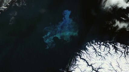 Phytoplankton - excerpt from Planet Ocean the movie