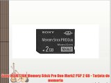 Sony MSMT2GN Memory Stick Pro Duo Mark2 PSP 2 GB - Tarjeta de memoria