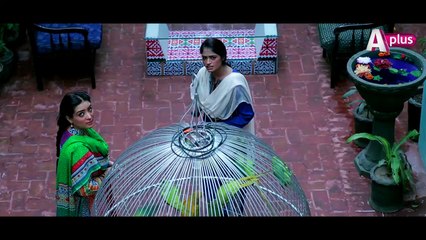 Bhai - Episode 2 Full HD | 6th February Saturday at 8:00pm