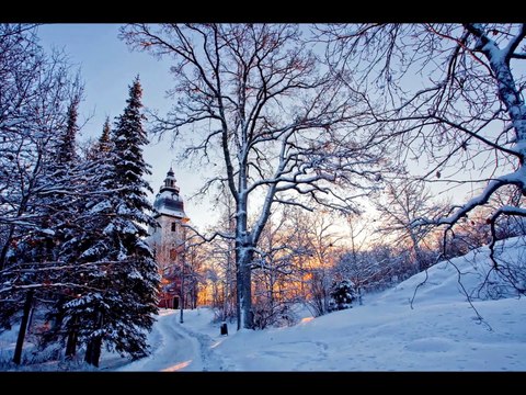 Чудеса природы - Зима