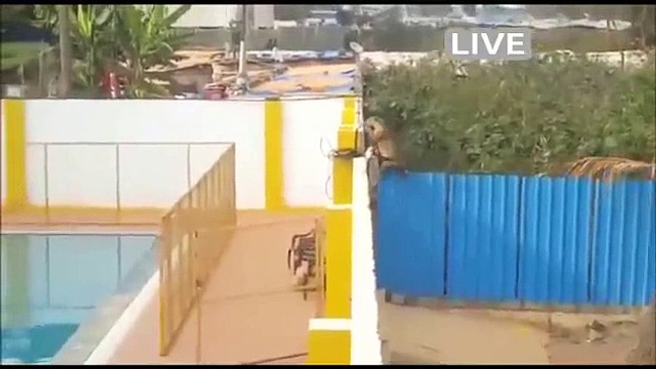 Leopard Attack People in India (VIDEO) Bangalore School