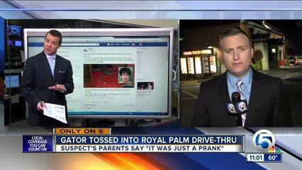 Alligator tossed into Royal Palm Beach Wendy's drive-thru window