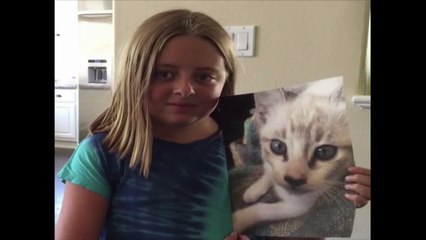 Cat Afraid of Selfie