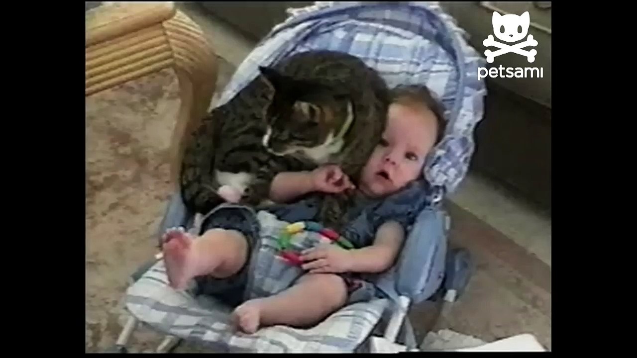 Baby and cat cuddle in crib