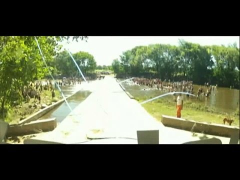 Подборка грузовиков на ралли Дакар