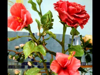 Волшебство керамики и фоамирана  Вдохновение для творчества и рукоделия