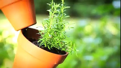 Aranjamente inedite! Iată câteva idei pe care nu le știai!