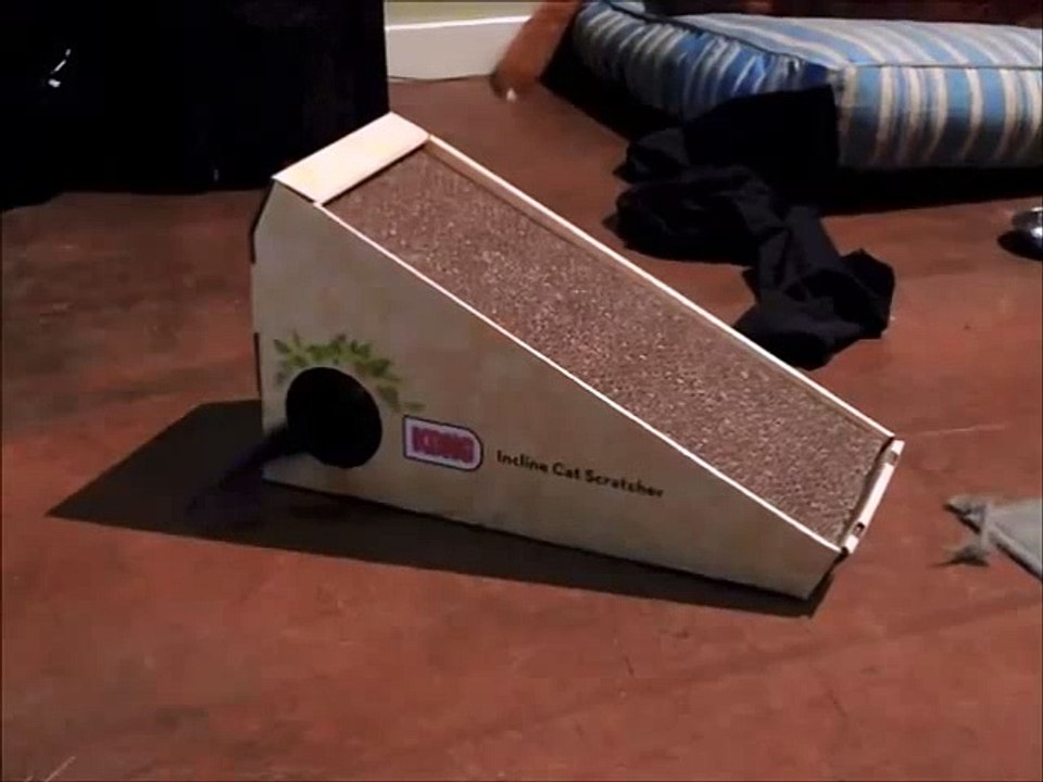 Naturals Incline Scratcher Cat Toy fun with a purpose!