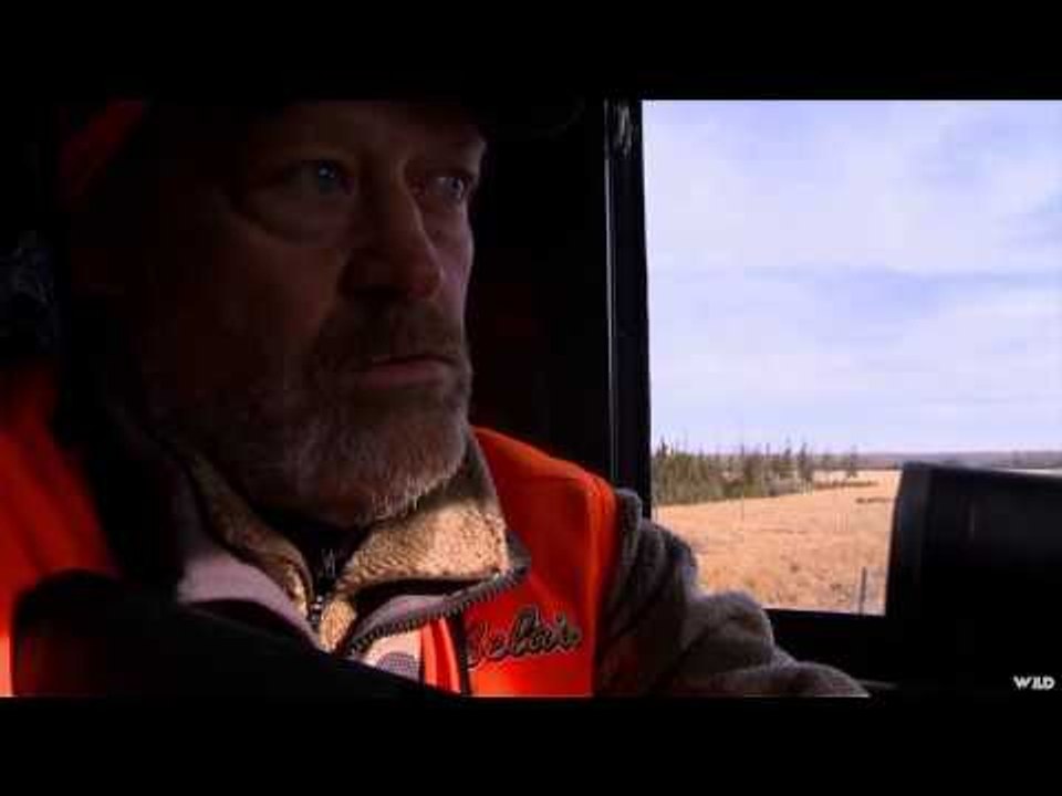 Cabelas Ultimate Adventures - Osceola Gobblers