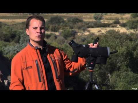 Long Range Pursuit - New Mexico Bighorn at 683 Yards