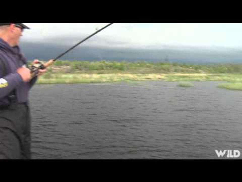 Fishful Thinking - Lucky Bug Bass and Moonshine...