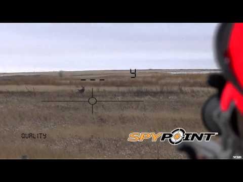 Hunting Canada and Beyond - Mulie