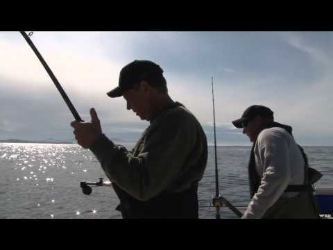 Outdoor Quest TV - Alberta Moose and British Columbia Salmon