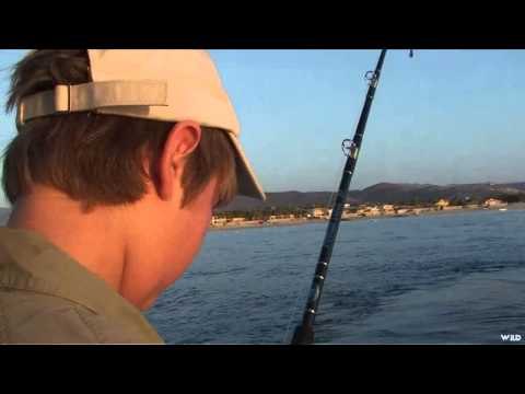 Adventures South of the Border - Best of Fish