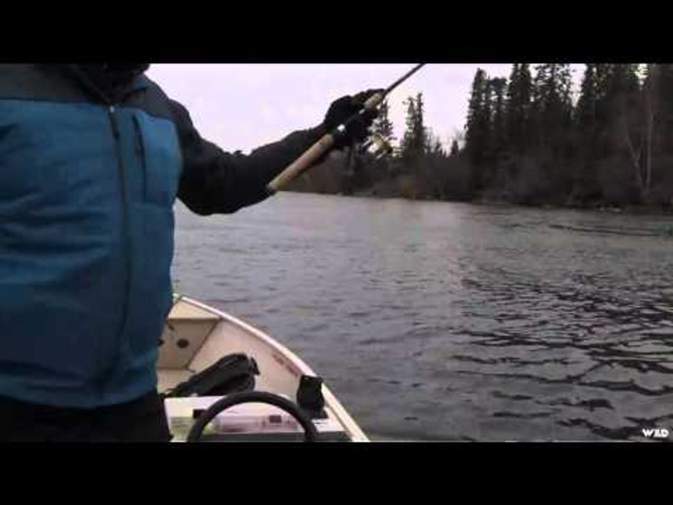 Maximum Limit Fishing - Tartan Surprise