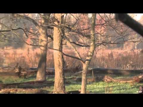 MOJOs Coming to the Call - Dont Stop Till They Drop