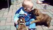Funny babies annoying dogs - Cute dog & baby -