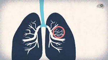 Как работают легкие