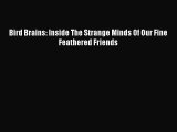 [PDF Download] Bird Brains: Inside The Strange Minds Of Our Fine Feathered Friends  Free Books