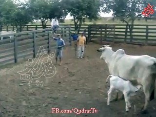 A mother anxiously protecting her baby