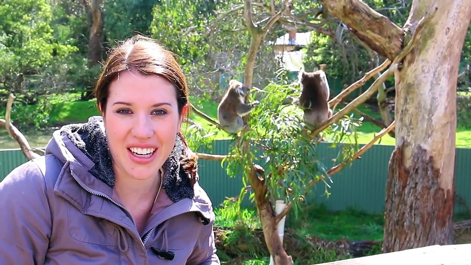 ⁣Feeding Kangaroos & SCARY AUSTRALIAN ANIMALS DisneyCarToys Sandra & ToysReviewToys visit M