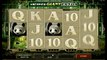 Захватывающий игровой автомат Неукрощенная Панда  (untamed giant panda): характеристики и правила