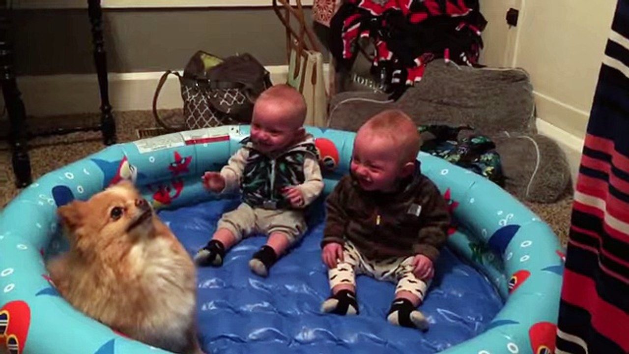 baby funny vedio